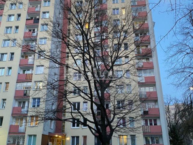Warszawa, Praga Południe, Saska