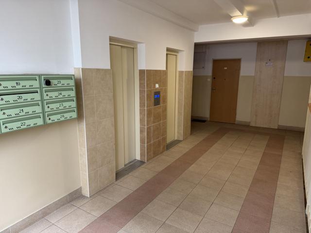 Warszawa, Śródmieście, Muranów, Niska
