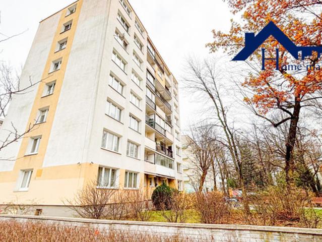 Warszawa, Śródmieście, Niska