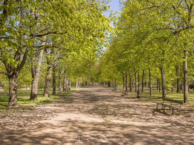 Warszawa, Śródmieście, Adama Idźkowskiego