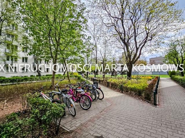 Warszawa, Śródmieście, Warszawa, Śródmieście, Niska