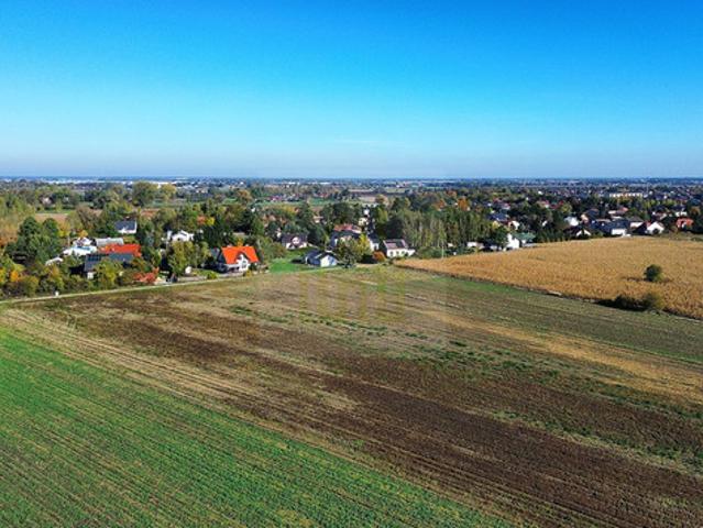 Warszawski Zachodni, Błonie, Bieniewice, Słowicza