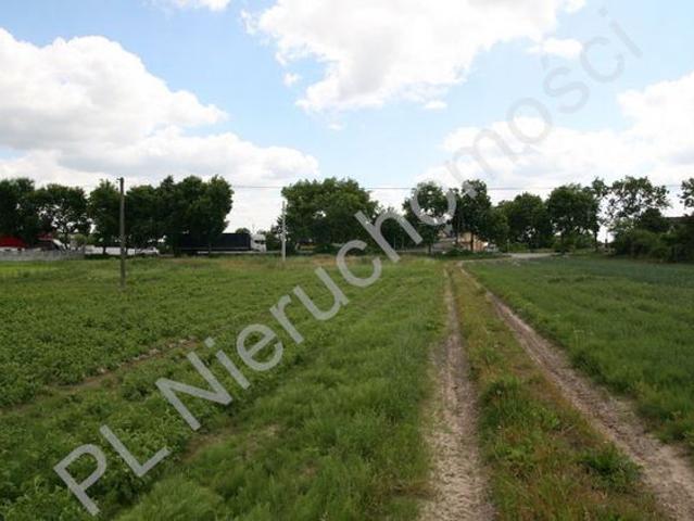 Warszawski Zachodni, Święcice