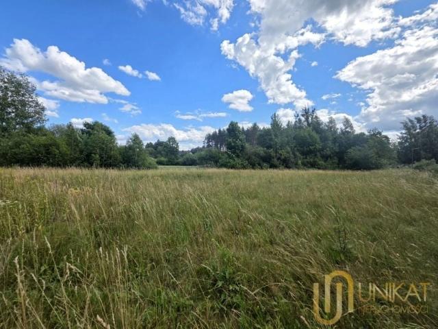 Wasilkowska 1 309 m², Studzianki