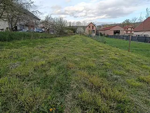 Wasselonne 67310 Achat / Vente terrain