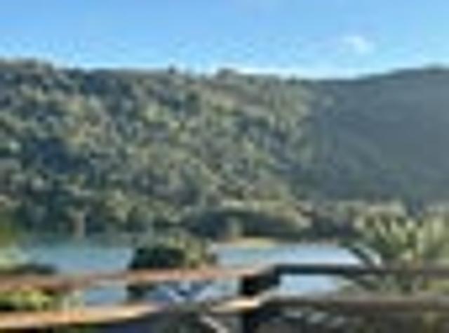 Water View + 3 Titles Buy Separately or Combined