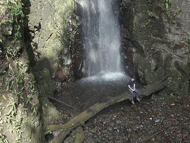 Waterfall Access Farm For Sale In Panama! Tropical Paradise!