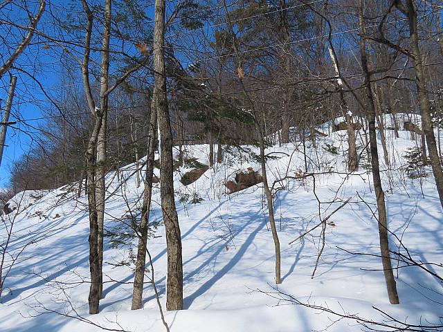 Waterfront Lot On Prince Lake
