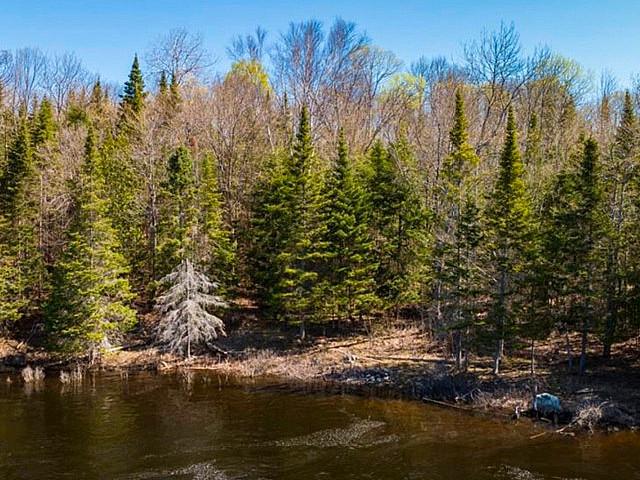 Waterfront Property. Built A Dream Cottage 3hr North Of Toronto