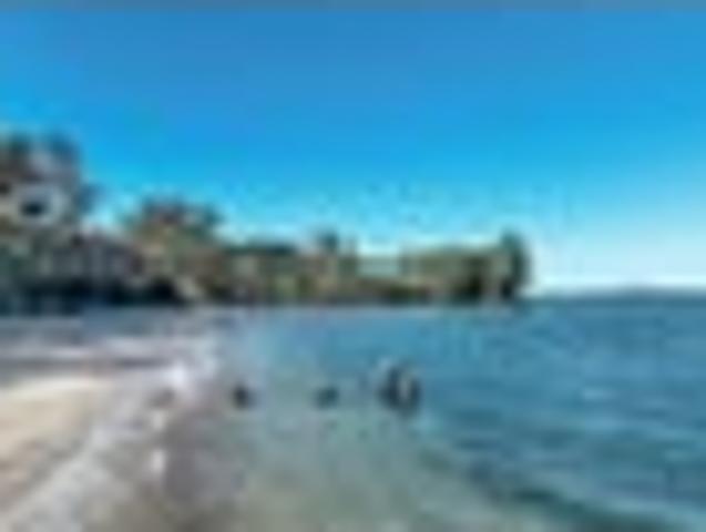 Waterfront Section