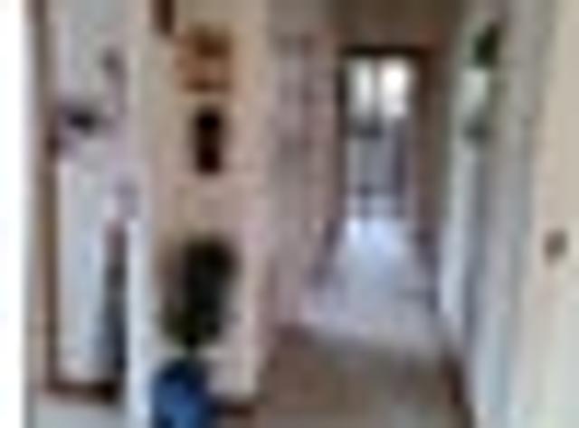 Waterloo, 3 bedrooms, $700 pw