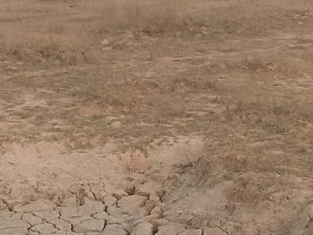 Wave City 100 Sq.Yd. Plot in Wave City Ghaziabad Listing ID: #10336