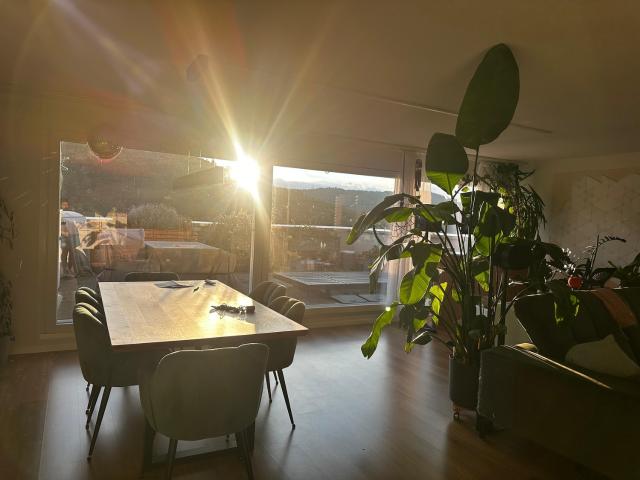WG Zimmer in 8408 Winterthur für 1400 CHF