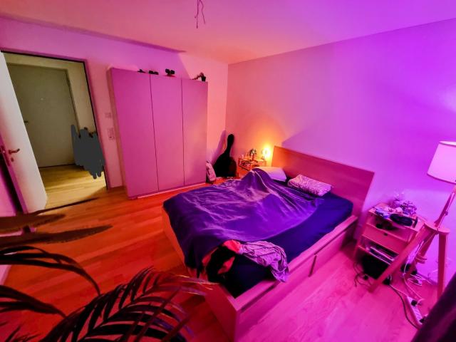 WG Zimmer in Allenmoosstrasse 60, 8057 zurich für 1300 CHF