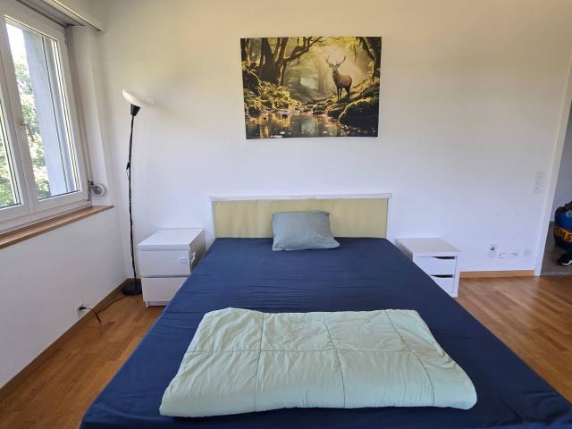 WG Zimmer in Buchholzstrasse 115 + 119, 8053 Zürich für 1400 CHF