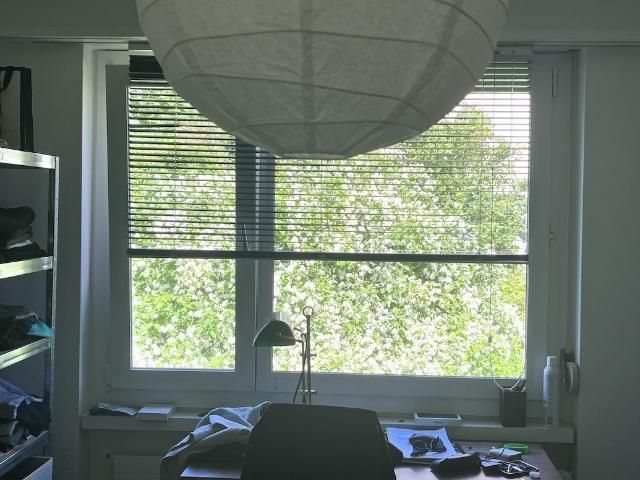 WG Zimmer in Flühgasse, 8008 Zurigo für 1200 CHF