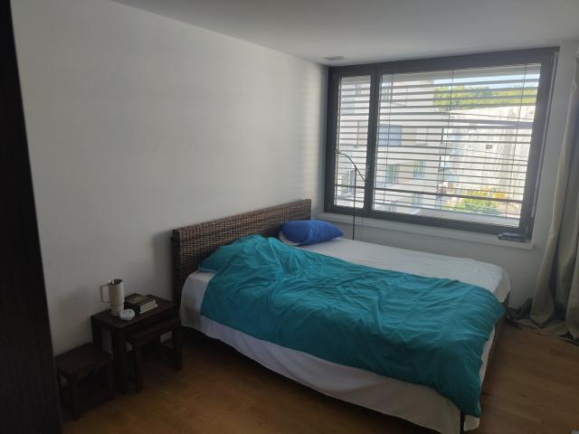 WG Zimmer in Heerenschürlistrasse 8, c/o Martin Riha, 8051 Zürich für 800 CHF