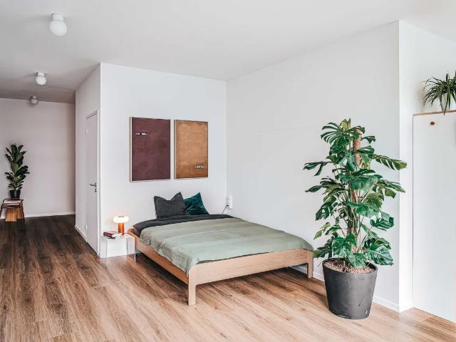WG Zimmer in Schärenmoosstrasse 99, 8052 Zürich für 1574 CHF