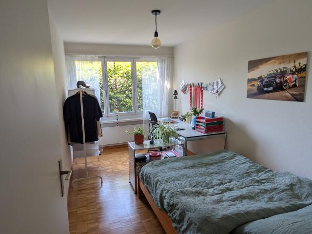 WG Zimmer in Segantinistrasse 29, 8049 Zürich für 1010 CHF