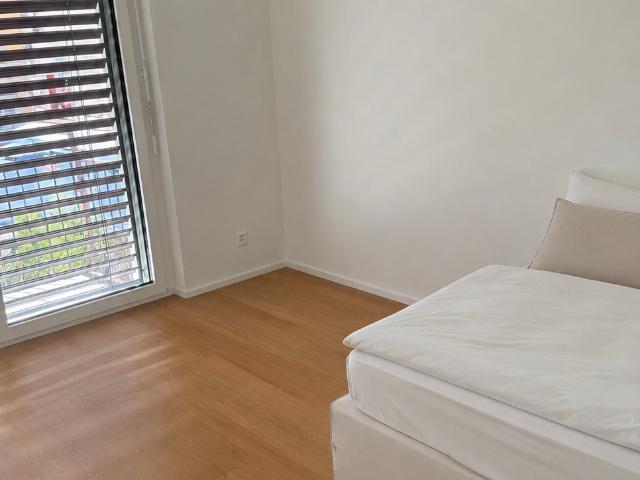 WG Zimmer in Rolandstrasse 3, 8004 Zürich für 1695 CHF
