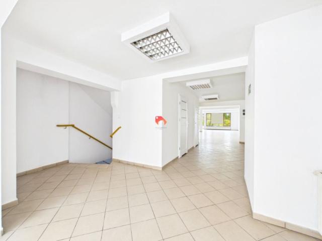Wełniany Rynek 300 m², Bydgoszcz