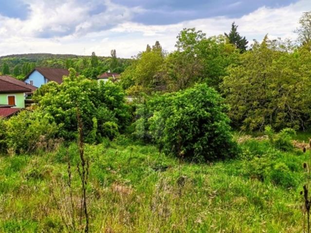 WEITBLICK INS GRÜNE VON VILLA BIS ZWEI DOPPELHÄUSER MÖGLICH