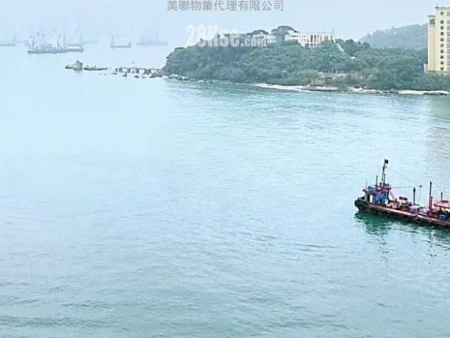 維港滙 #3824 售盤樓盤詳細資料