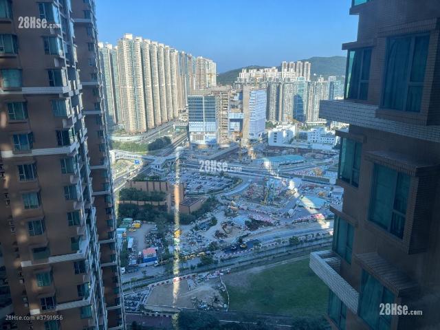 維景灣畔 #3791 租盤樓盤詳細資料