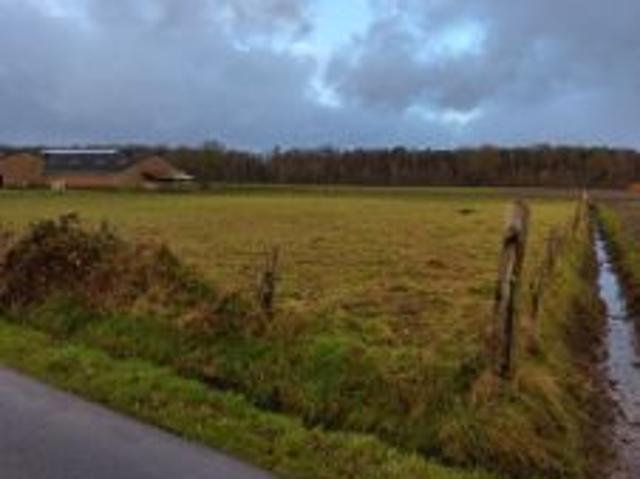 Weide te koop
