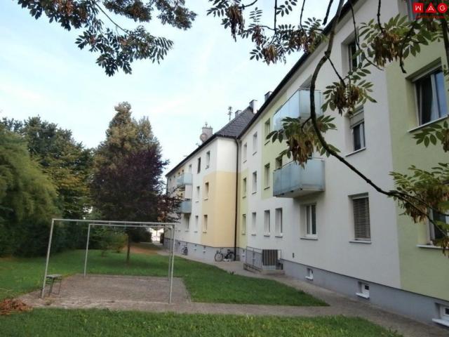 weihnachtsaktion: 1 monat mietzinsfrei! familienfreundliche 4 zimmerwohnung im erdgeschoss direkt am inn – schärding, nahe der deutschen grenze!