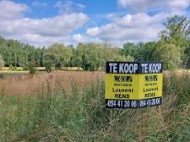Weiland te koop