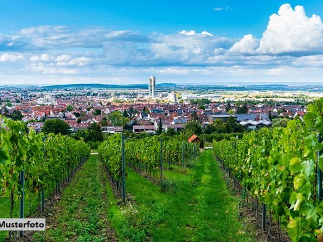 Weingut Einfamilienhaus und Kelterei