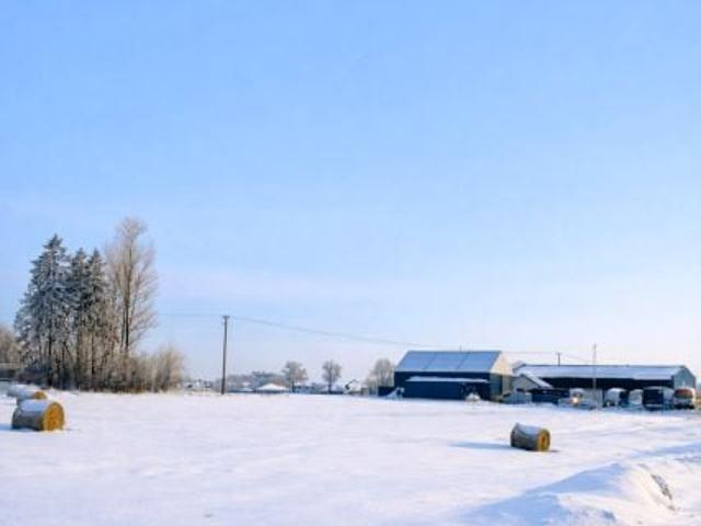 Wejherowska 6 000 m², Dobrzewino