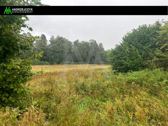 Wejherowska 22 000 m², Świecino