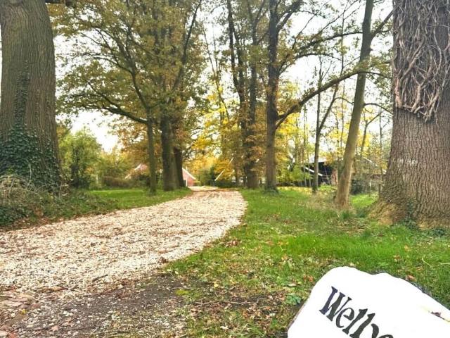 Welbergsweg, Ambt Delden, Nederland