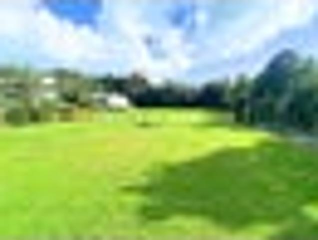 WELCOME TO BEAUTIFUL PUPONGA