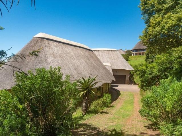 Welcome To Your Little African Paradise