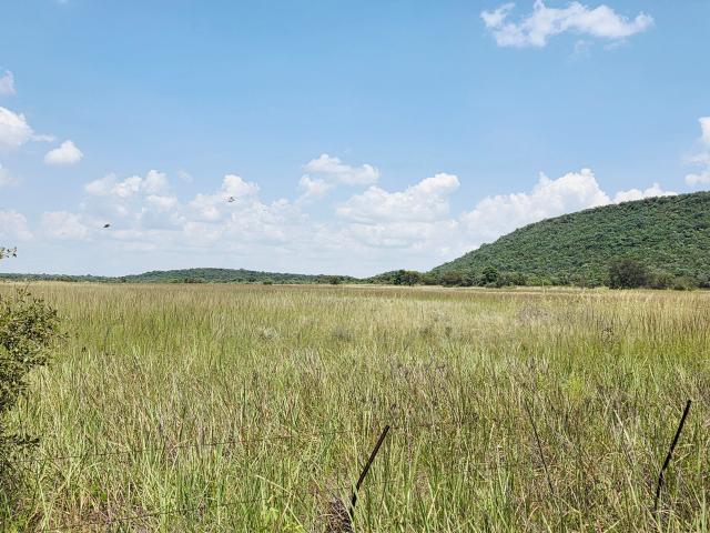 Well located, 100ha farm at sterkrivier