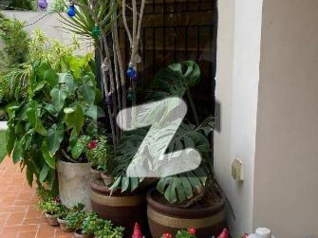Well Renovated 500 Sq. Yards Luxury House For Sale In Falcon Complex Faisal, Karachi Old Falcon Complex AFOHS