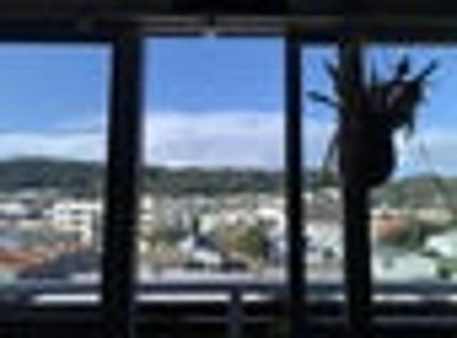 Wellington Central, 2 bedrooms, $399 pw
