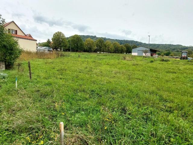 Westhoffen Vente Terrain 67