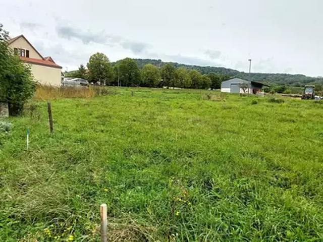 Westhoffen 67310 Achat / Vente terrain