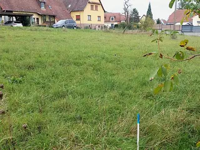 Westhoffen 67310 Achat / Vente terrain