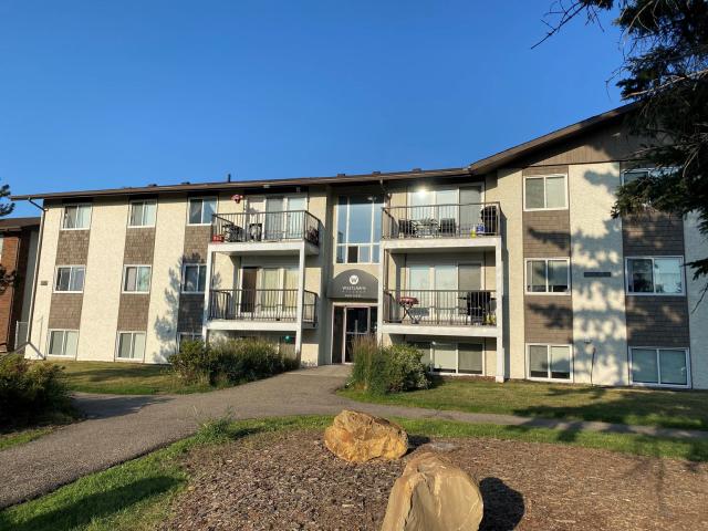 Westlawn Village Bach Apartment for Rent