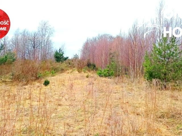 Wesoła 5 205 m², Tuchom