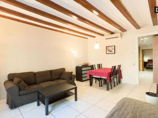 Whole 1 bedroom apartment in Barcelona