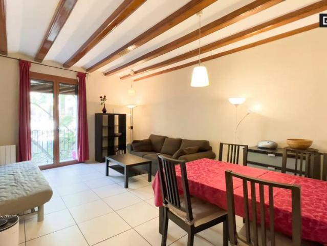 Whole 1 bedroom apartment in Barcelona