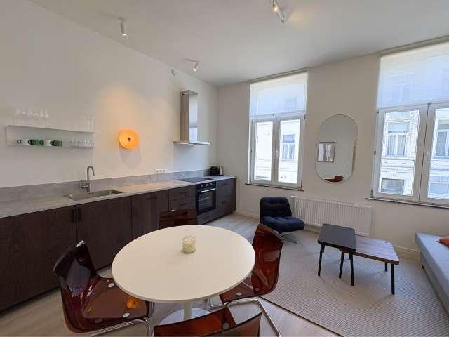 Whole 1 bedrooms apartment in Ixelles