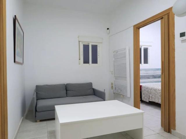 Whole 1 bedrooms apartment in Madrid