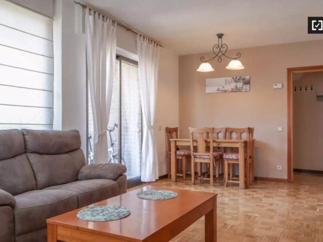 Whole 2 bedrooms apartment in Madrid
